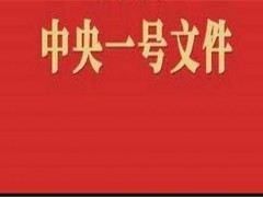 2020年中央一号文件公布：全文共包括这5个部分！附解读