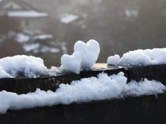 2020年首场大范围雨雪倒计时！哪些地区会下雪？下雪要注意些什么？