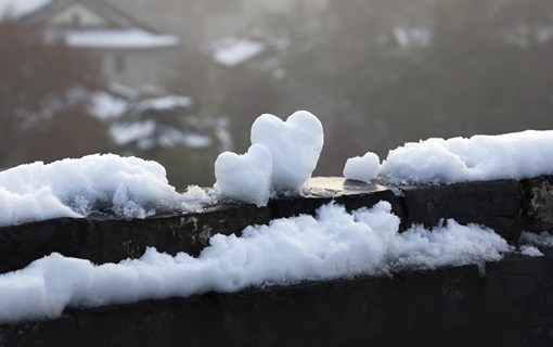 哪些地区会下雪