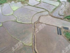 辽宁将大面积推广水稻秋季秸秆还田技术,提高插秧质量！