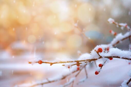 北京第三场雪是什么时候下？近期气温怎么样？下雪要满足什么条件？