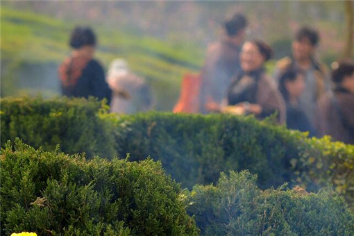 北京今起预约祭扫！在哪预约？怎么操作？附预约受理具体时间！