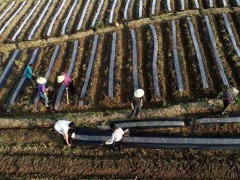 资兴市引导种植见效快的农作物带动贫困户增收，人均增收2000余元！