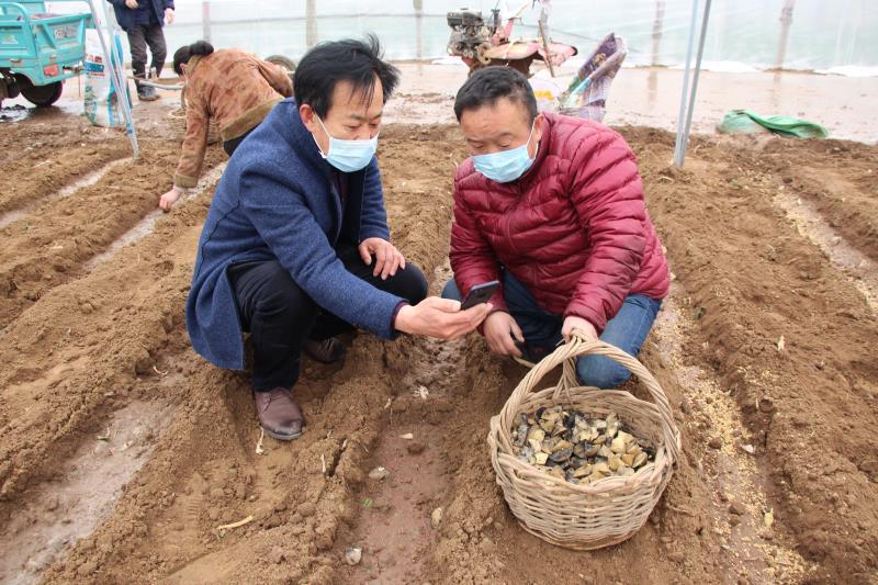 青岛胶州：浓浓的春耕科技范