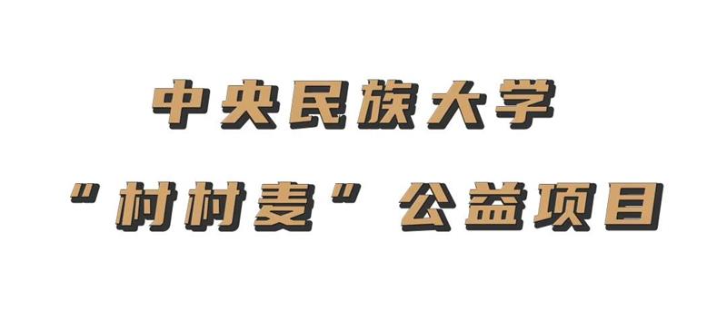 中央民族大学村村麦为有产品无销路想直播却不会的村民提供技术支持