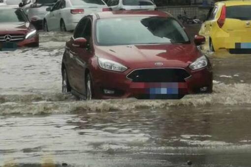 广州雨后路人为什么当街捕鱼