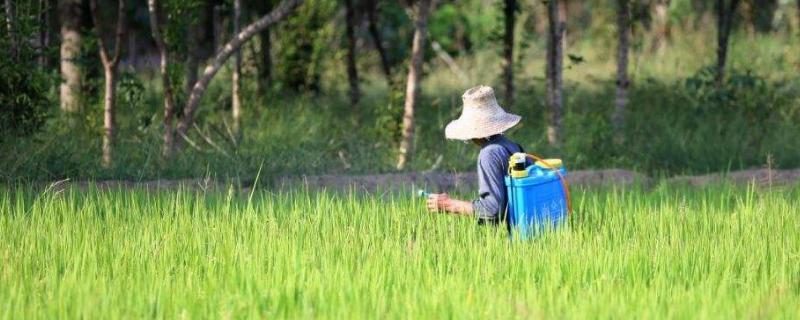 戊唑醇咪鲜胺使用禁忌