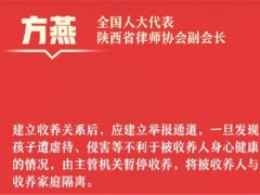 建议建立未成年人收养举报通道！能带来哪些改变呢？目的是什么？