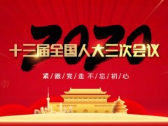 十三届全国人大三次会议闭幕会！2019年和今年以来工作回顾中核心数据