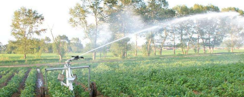 西亚的灌溉农业区主要分布在