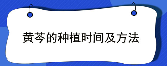 黄芩的种植时间及方法