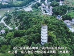 宋代南峰塔与塔顶古树或将分离！是什么古树？为什么要分离？