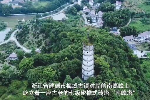 宋代南峰塔与塔顶古树或将分离-视频截图