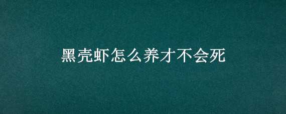 黑壳虾怎么养才不会死