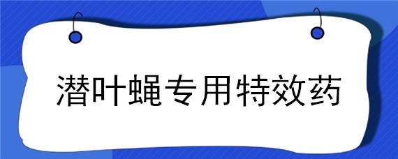 潜叶蝇专用特效药