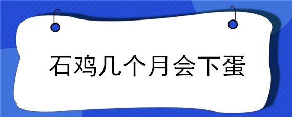 石鸡几个月会下蛋