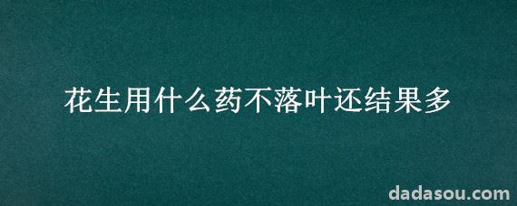 花生用什么药不落叶还结果多