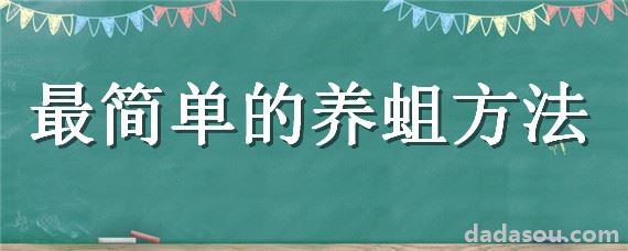 最简单的养蛆方法