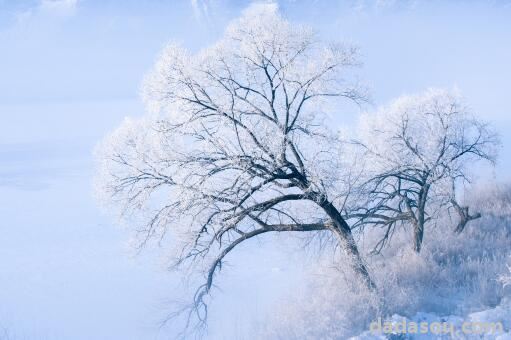 小雪节气的含义是什么