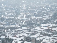 黑龙江连发20个暴雪预警！暴雪天气如何应对？对农业有哪些影响？