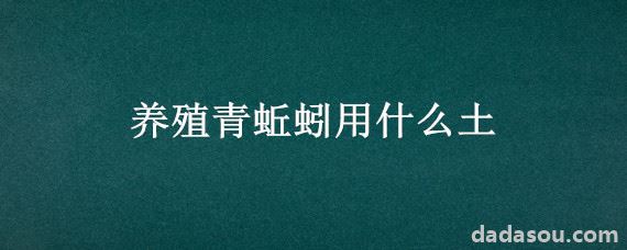 养殖青蚯蚓用什么土