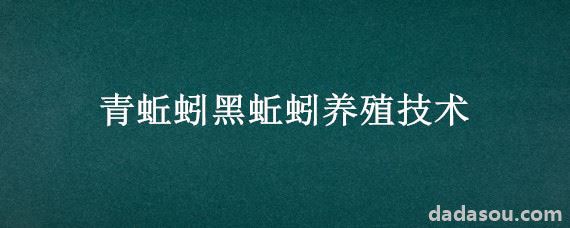 青蚯蚓黑蚯蚓养殖技术