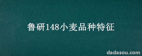 鲁研148小麦品种特征