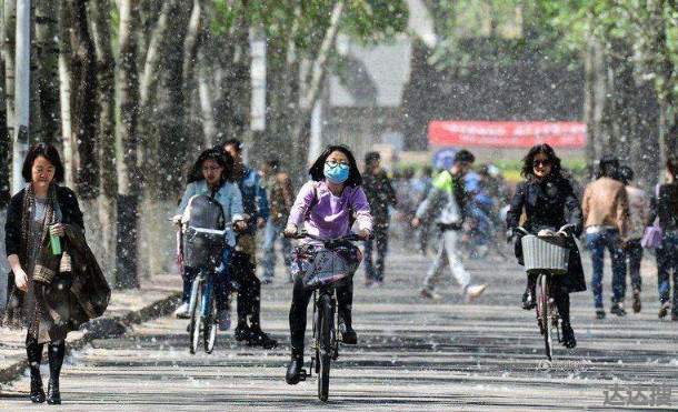 南京梧桐毛絮雨大爆发1