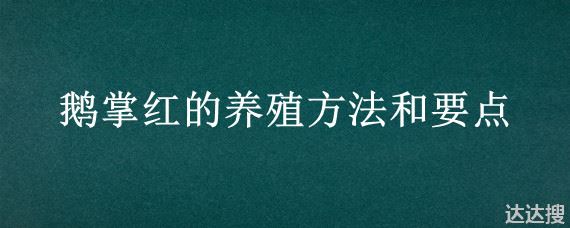 鹅掌红的养殖方法和要点