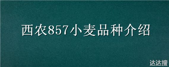 西农857小麦品种介绍