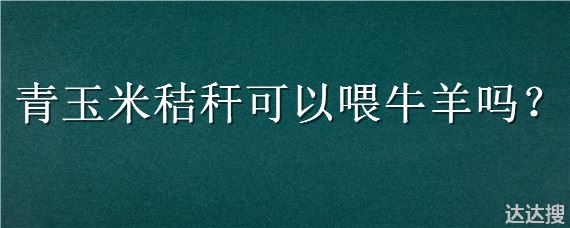 青玉米秸秆可以喂牛羊吗