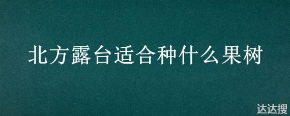 北方露台适合种什么果树 露台适合种什么果树