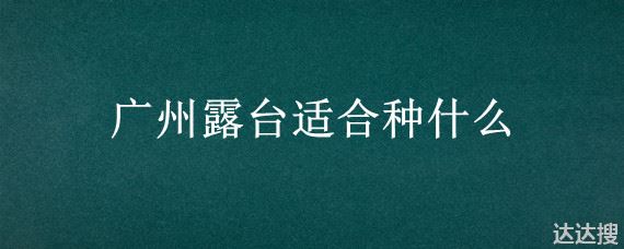 广州露台适合种什么