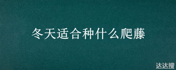 冬天适合种什么爬藤