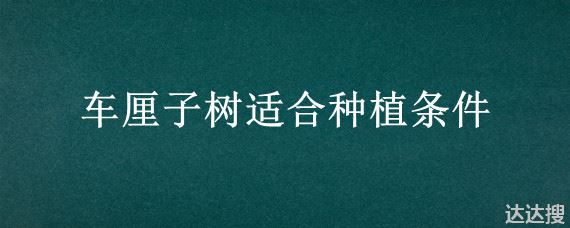 车厘子树适合种植条件 车厘子树适合种植条件海拔多少