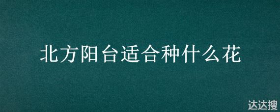 北方阳台适合种什么花 北边阳台适合种什么花