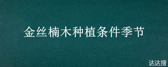 金丝楠木种植条件季节 金丝楠木种植条件