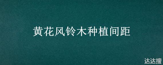 黄花风铃木种植间距