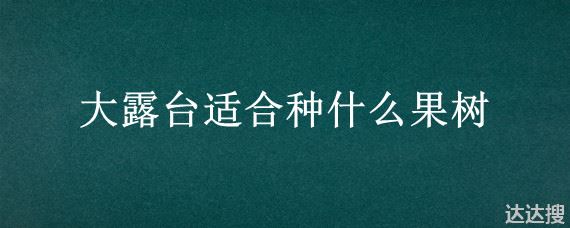 大露台适合种什么果树