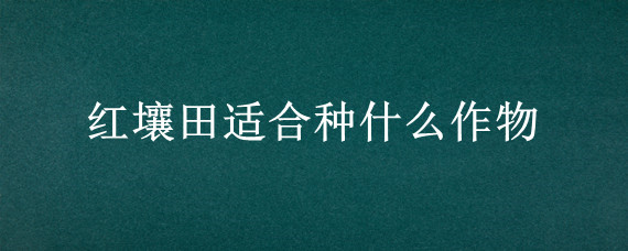 红壤田适合种什么作物 红壤土适合种什么农作物