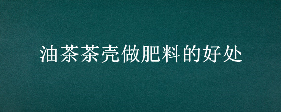 油茶茶壳做肥料的好处 茶枯可以直接埋土里种菜吗