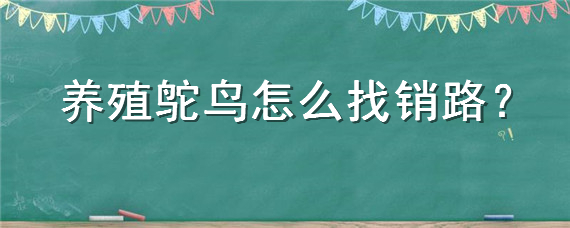 养殖鸵鸟怎么找销路