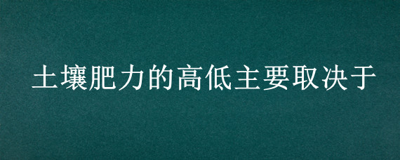 土壤肥力的高低主要取决于