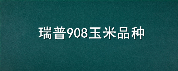 瑞普908玉米品种