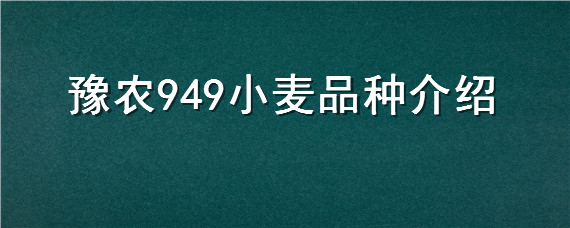 豫农949小麦品种介绍 豫农949小麦品种特性