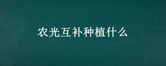 农光互补种植什么