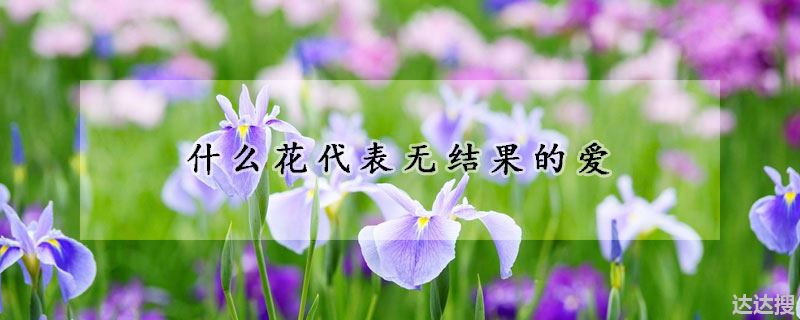 什么花的花语代表无望的爱（什么花代表无结果的爱）