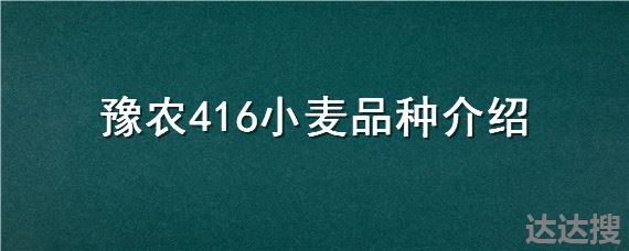 豫农416小麦品种介绍