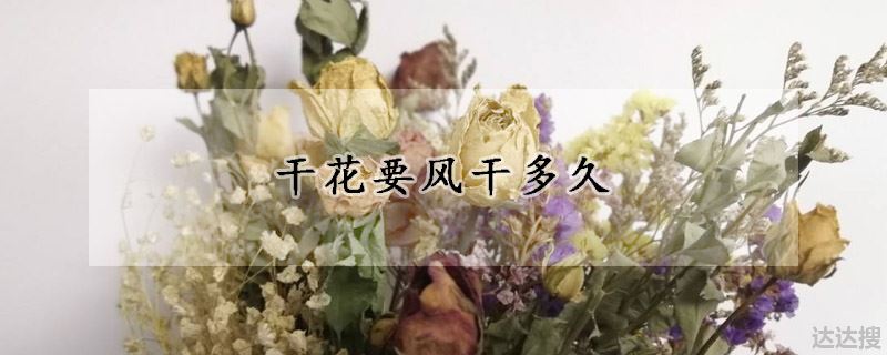 干花要风干多长时间（干花要风干多久）