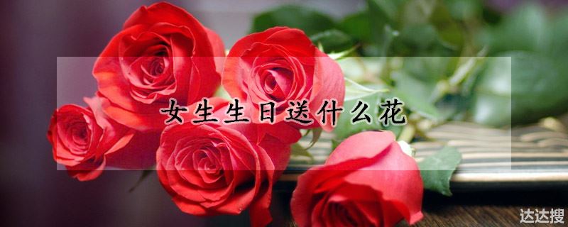 女生生日送什么花